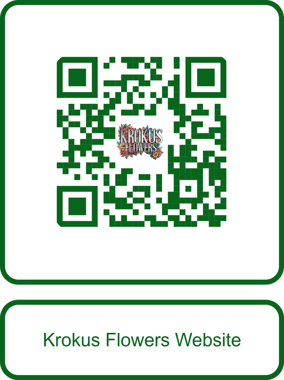 54ef6854-a9b2-46e8-a2eb-f317398b7d03.png